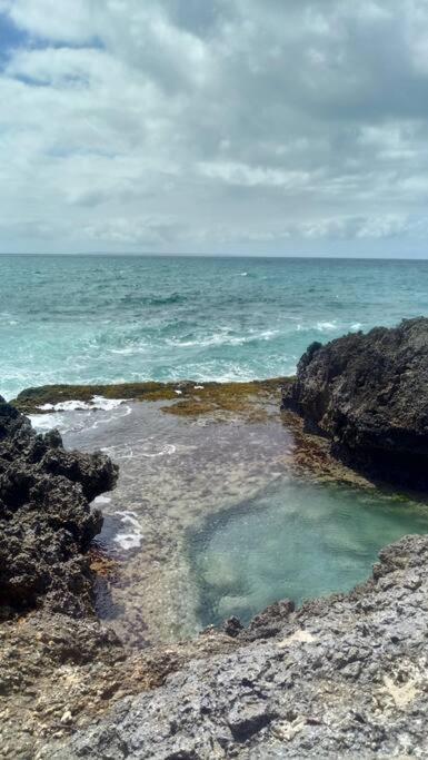 Vue Mer, Piscine, Appartement 4 Personnes Le Gosier  Bagian luar foto