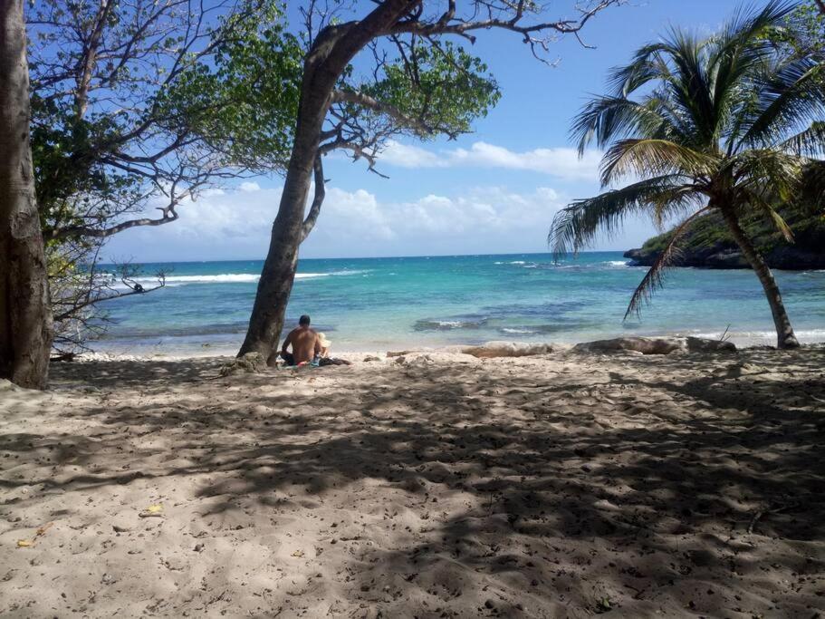 Vue Mer, Piscine, Appartement 4 Personnes Le Gosier  Bagian luar foto